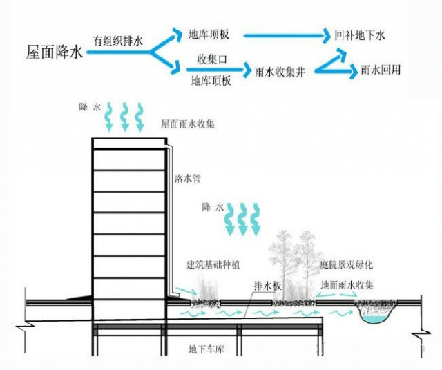 屋頂雨水.jpg