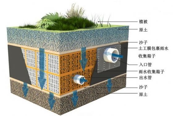 道路雨水收集.png